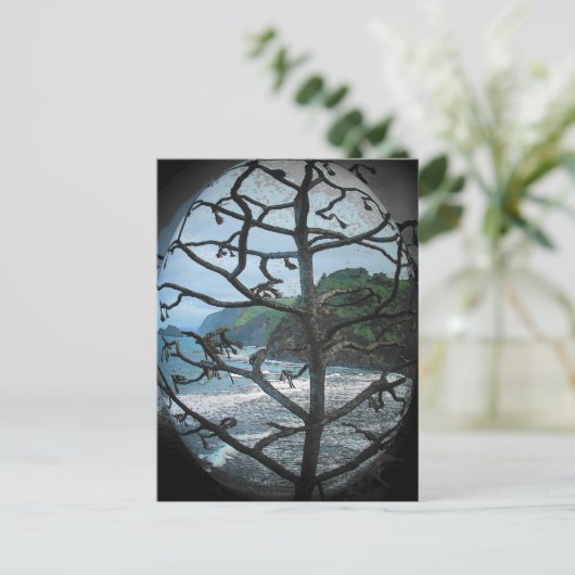 Dode Hawaiiaanse boom in Spotlight Briefkaart (Staand voorkant)