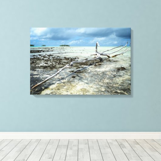 Dode hout in de Pacific canvas print (Insitu (Houten vloer))