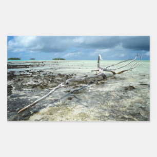 Dode houtsoorten in de Pacifische rechthoekige sti Rechthoekige Sticker