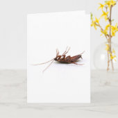 Dode kakkerlak kaart (Gele Bloem)