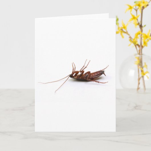 Dode kakkerlak kaart (Gele Bloem)