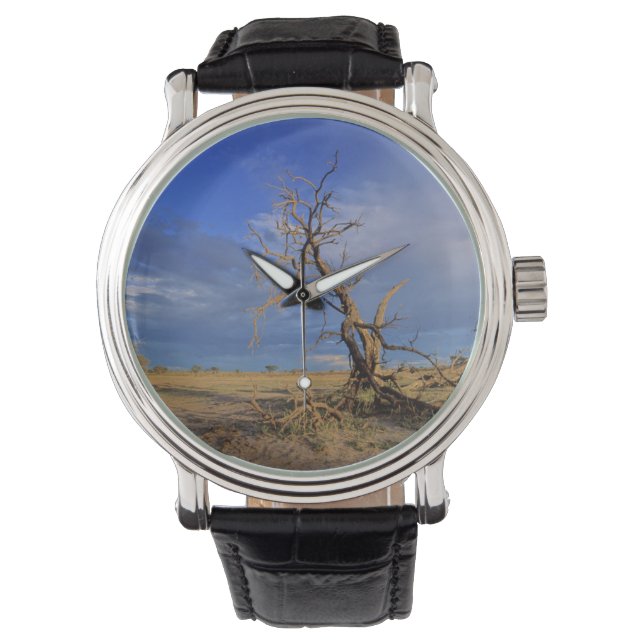 Dode Kameeldoring (Acacia Erioloba) Boom Horloge (Voorkant)