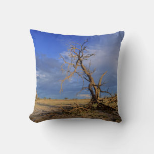 Dode Kameeldoring (Acacia Erioloba) Boom Kussen