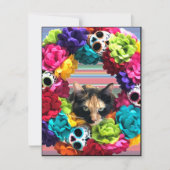 Dode Kat Dag Feestdagenkaart (Voorkant)