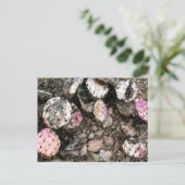 Dode roze cactus briefkaart (Staand voorkant)
