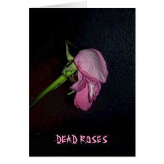 Dode Rozen: De bloem is van de bloesem, baby.