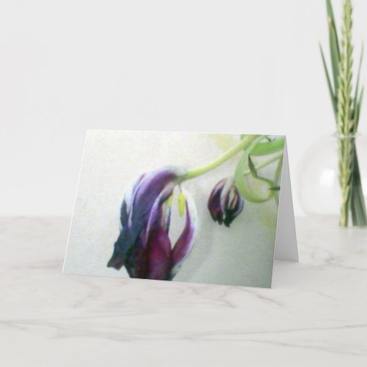 Dode tulpen kaart (Voorkant)