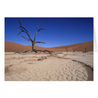 Dode Vlei, Sossusvlei, Namib-Naukluft Nationaal