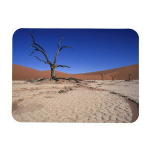 Dode Vlei, Sossusvlei, Namib-Naukluft Nationaal Magneet
