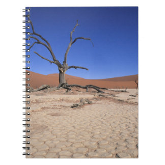 Dode Vlei, Sossusvlei, Namib-Naukluft Nationaal Notitieboek