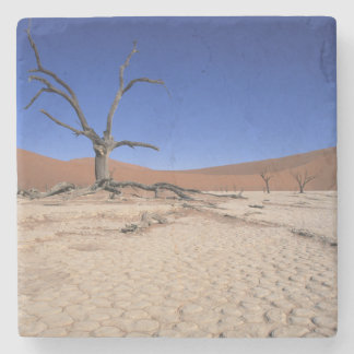 Dode Vlei, Sossusvlei, Namib-Naukluft Nationaal Stenen Onderzetter