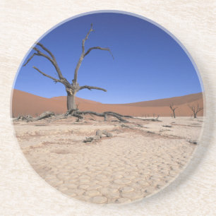 Dode Vlei, Sossusvlei, Namib-Naukluft Nationaal Zandsteen Onderzetter