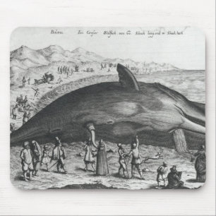 Dode walvis muismat