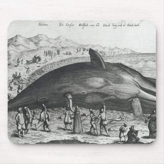 Dode walvis muismat (Voorkant)