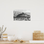 Dode walvis poster (Keuken)