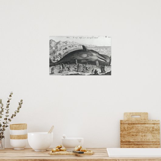 Dode walvis poster (Keuken)