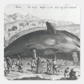 Dode walvis vierkante sticker (Voorkant)
