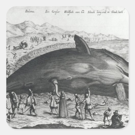 Dode walvis vierkante sticker (Voorkant)