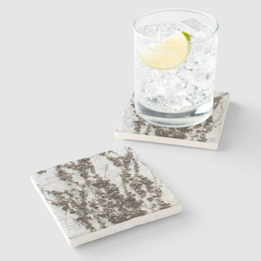 dode wijnstokken stenen onderzetter (Zijkant)