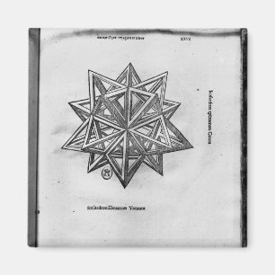 Dodecahedron, uit "De Divina Proportione" Magneet