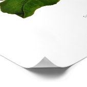 Dodecatheon integrifolium poster (Hoek)