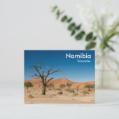 Dodelijke boom op het briefkaart Sossusvlei met te (Staand voorkant)