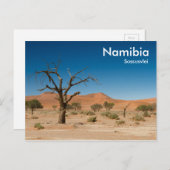 Dodelijke boom op het briefkaart Sossusvlei met te (Voorkant / Achterkant)