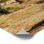 Dodelijke landschapsfoto van Zee Poster (Hoek)