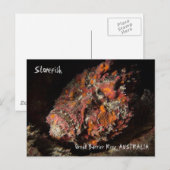 Dodelijke steenvis op het Great Barrier Reef Briefkaart (Voorkant / Achterkant)