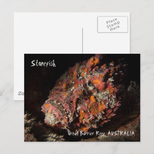 Dodelijke steenvis op het Great Barrier Reef Briefkaart (Voorkant / Achterkant)