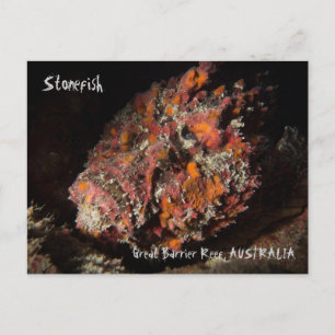 Dodelijke steenvis op het Great Barrier Reef Briefkaart