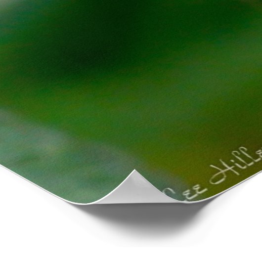 Dodembloem Poster (Hoek)