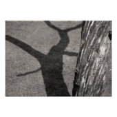 Dodemboom Foto Afdruk (Voorkant)