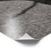 Dodemboom Foto Afdruk (Hoek)