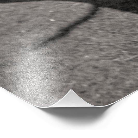 Dodemboom Foto Afdruk (Hoek)