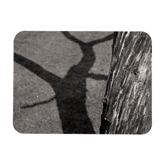 Dodemboom Magneet (Horizontaal)