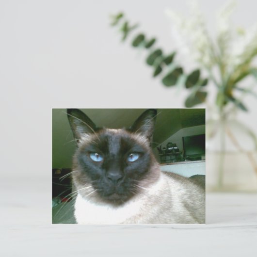 doden blauw briefkaart (Staand voorkant)