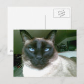 doden blauw briefkaart (Voorkant / Achterkant)