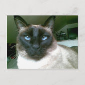 doden blauw briefkaart (Voorkant)