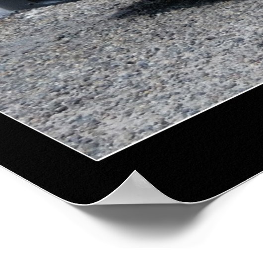 DODGE #144 POSTER (Hoek)