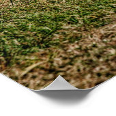 Dodge Demon Poster (Hoek)