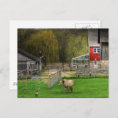 Dodge Natuur Center Briefkaart (Voorkant / Achterkant)