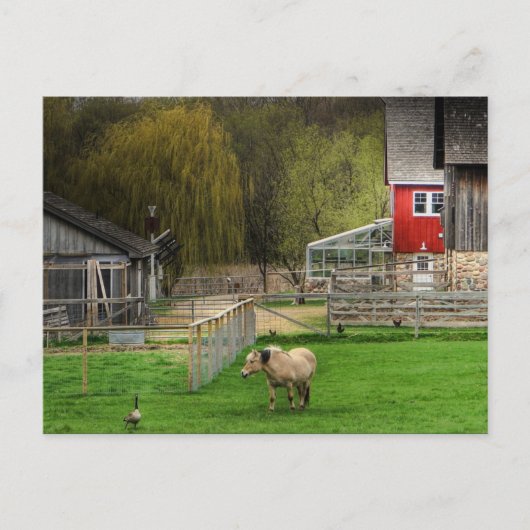 Dodge Natuur Center Briefkaart (Voorkant)