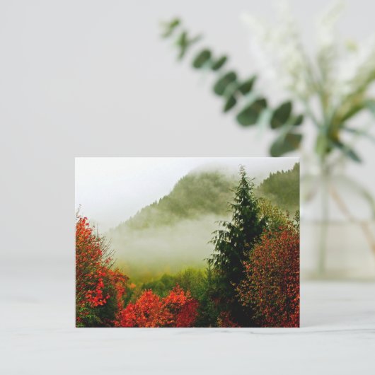 Dodge Road Mist (helder) Briefkaart (Staand voorkant)