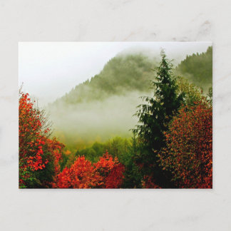 Dodge Road Mist (helder) Briefkaart