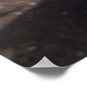 DODGE TRUCK HOOD ORNAMENT 1949 POSTER (Hoek)