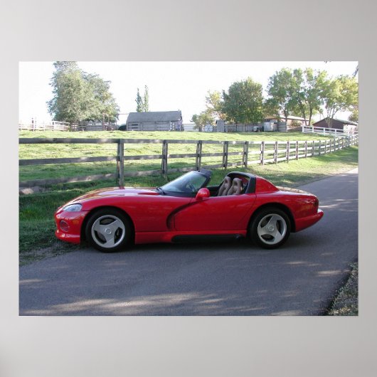 Dodge Viper RT/10 Poster (Voorkant)