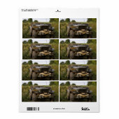 Dodge WC 57 Etiket (Full Sheet)