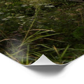 Dodge WC 57 Perfect Poster (Hoek)