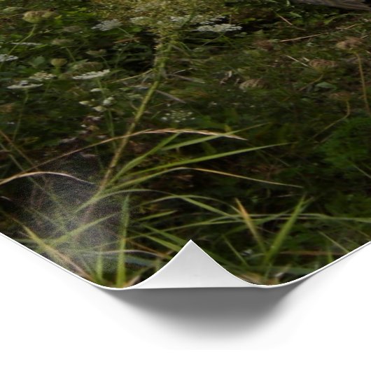 Dodge WC 57 Perfect Poster (Hoek)